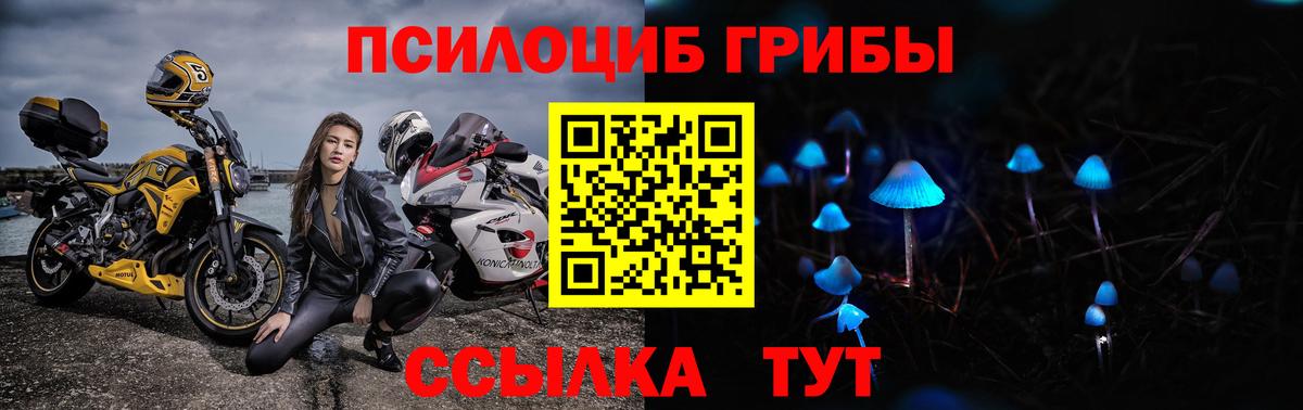 Псилоцибиновые грибы мухоморы  Вход с VPN  как найти закладки  Ивантеевка 